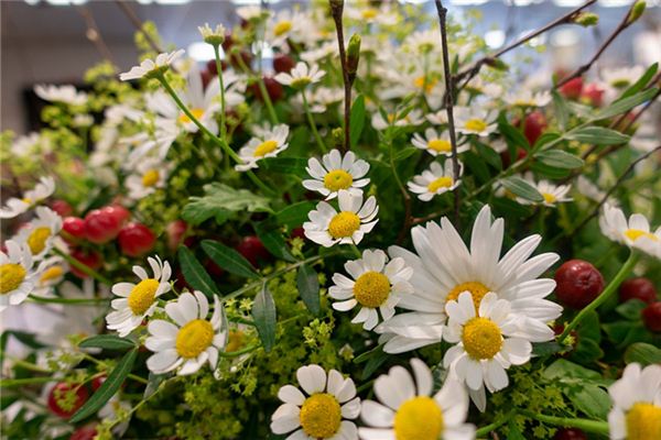 常萬年的姓名打分結果_常萬年的姓名五行分析