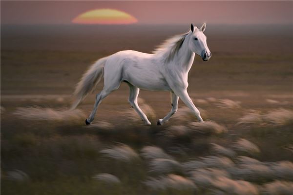 寶寶取名打分:吳盼柳