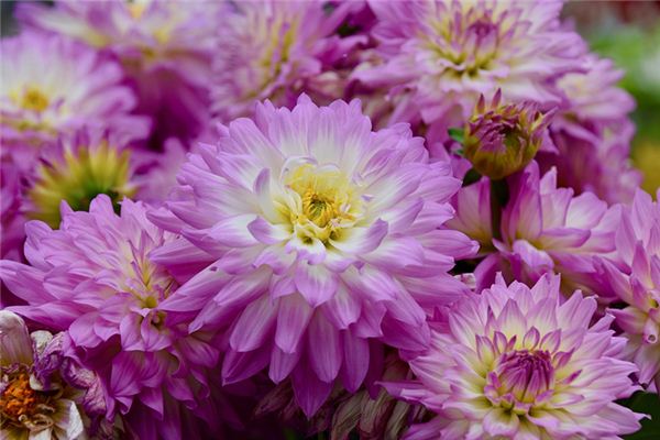 盛國民的姓名打分結果_盛國民五行分析