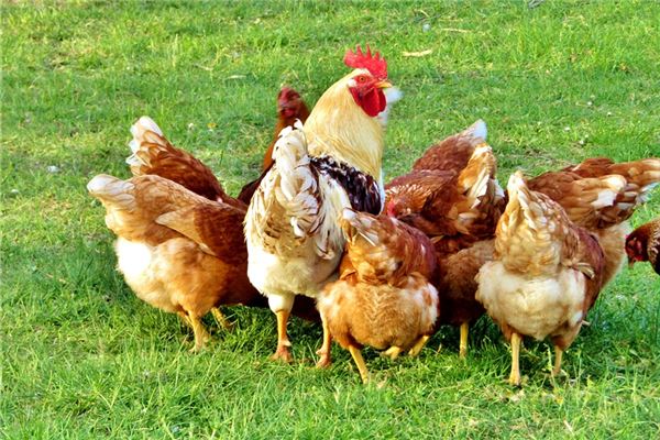 陸幟然的姓名打分結果_陸幟然五行分析