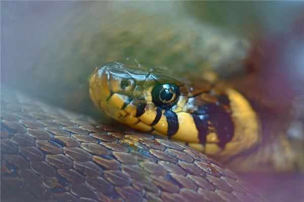 小孩起名(小孩起名字)