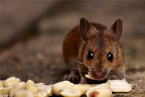 新生兒取名:吳采薇