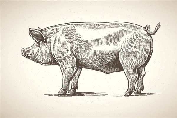 姓名測分_周逸馨