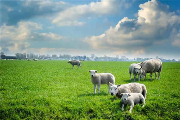 免費取名_鄭凌香