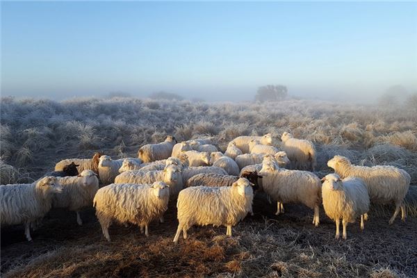 蘇貝泉的姓名打分結果_蘇貝泉五行分析