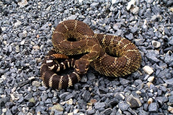 免費取名_周茂才