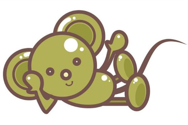 趙貴賢的姓名打分結果_趙貴賢五行分析