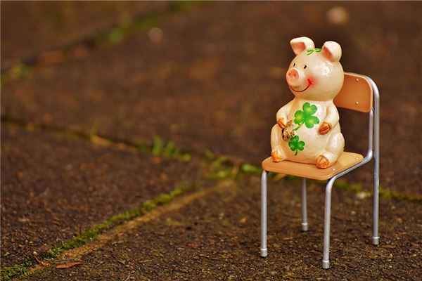 姓名王因子打分得分_取名王因子五格分析