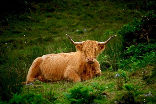 滕威林的姓名打分結果_滕威林五行分析