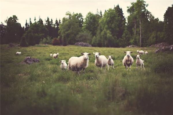 趙克遜的姓名打分結果_趙克遜五行分析