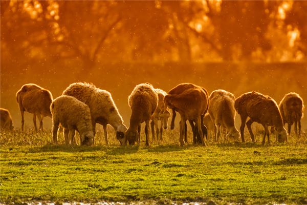 名字推薦_寶寶名字