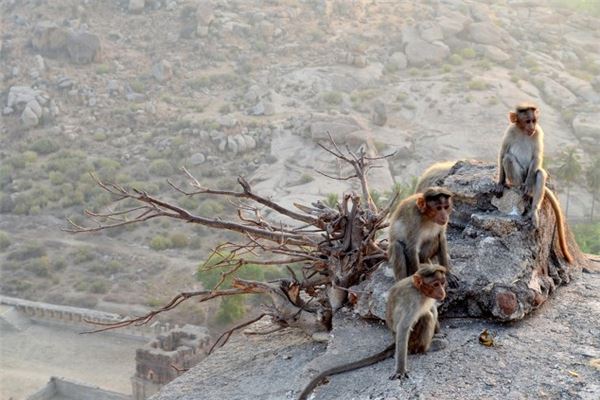 許景杰的姓名打分結(jié)果_許景杰五行分析  第1張