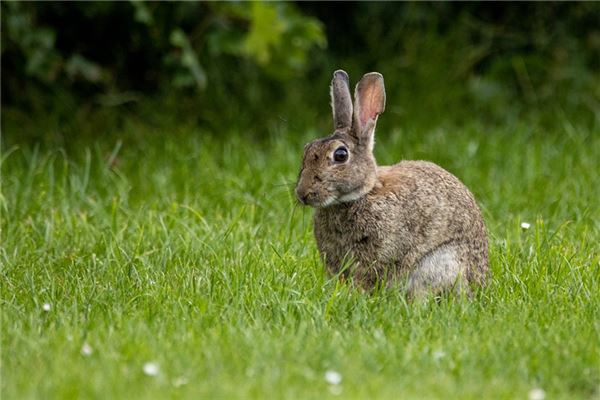 寶寶取名_寶寶小名帶小字三個(gè)字 第1張 寶寶取名_寶寶小名帶小字三個(gè)字 第1張