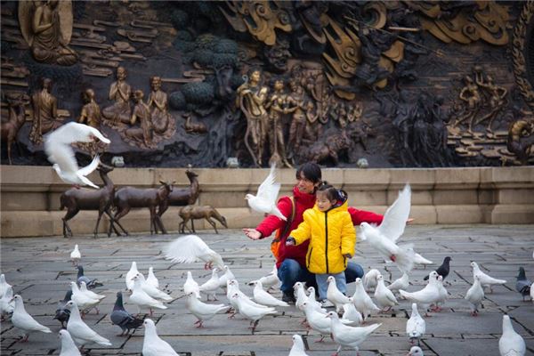 任雅通的姓名打分結果_任雅通五行分析  第1張