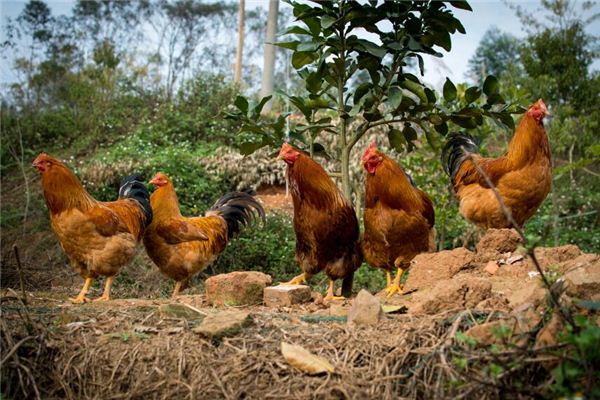 寶寶取名_小名創意新穎不要疊字 第1張 寶寶取名_小名創意新穎不要疊字 第1張