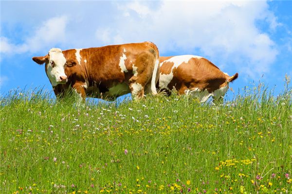 免費取名_周妙芙