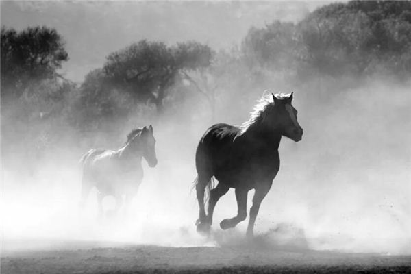 好聽的名字_周宏偉