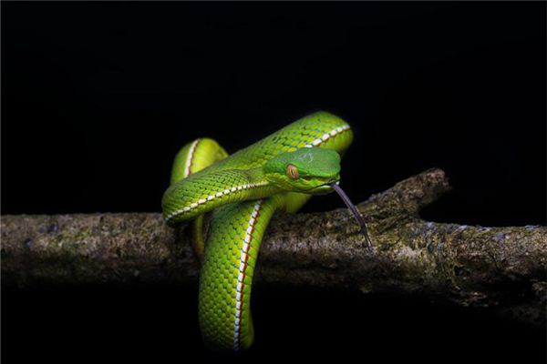 胡見宇的姓名打分結果_胡見宇五行分析  第1張