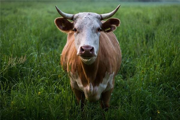 寶寶取名_給女寶寶取名字2021款 第1張 寶寶取名_給女寶寶取名字2021款 第1張