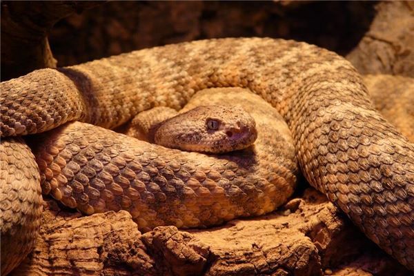 徐晨星的姓名打分結(jié)果_徐晨星五行分析