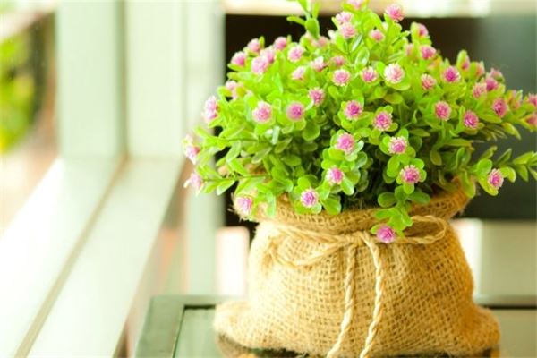 取名網站(起名最好的網站排名)