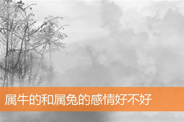 游世錄的姓名打分結果_游世錄五行分析