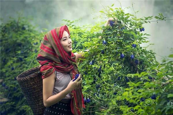 古代名人 名字中帶羊