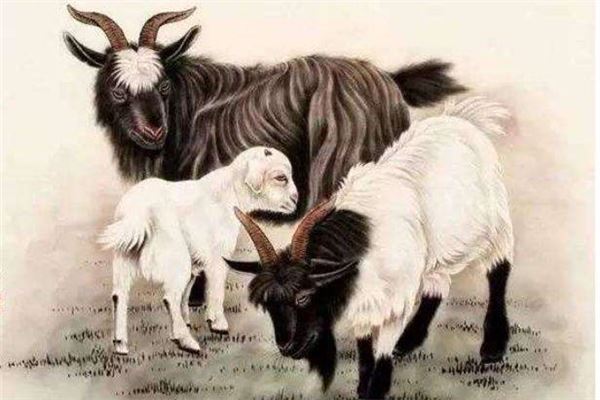 石恒真的姓名打分結果_石恒真五行分析