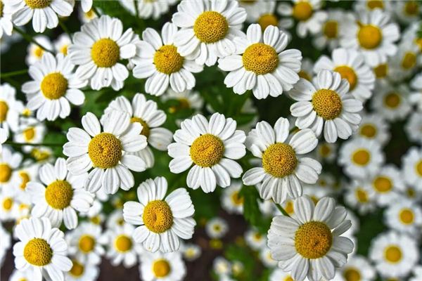 姓名測分_周俊人