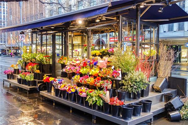 王盛槐的姓名打分結果_王盛槐五行分析