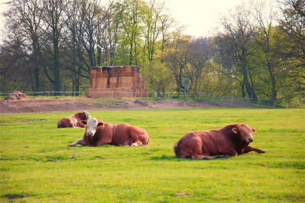 潘燕雯的姓名打分結果_潘燕雯五行分析