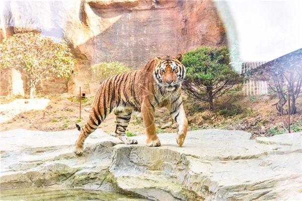 湯汝平的姓名打分結果_湯汝平五行分析