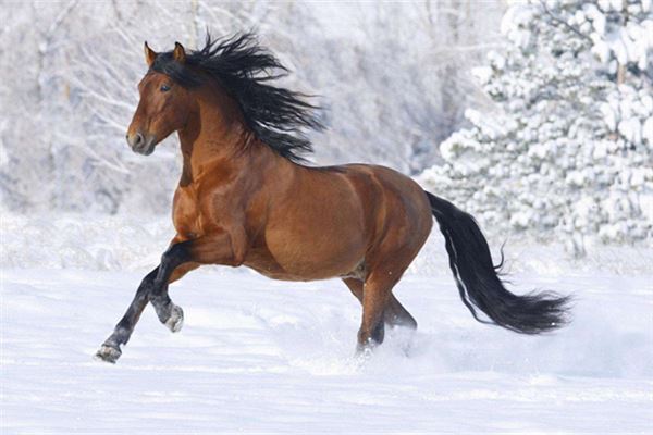 免費起名_寶寶名字測試