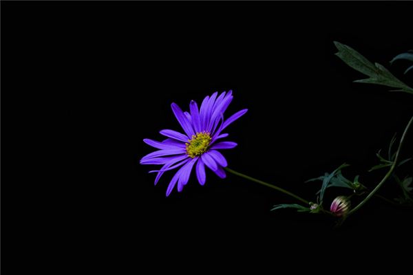 姓名五行分析_鄭妍和