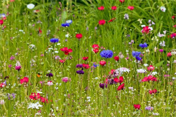陳雪寒的姓名打分結果_陳雪寒的姓名五行分析