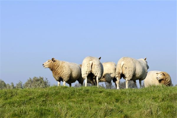 蔣佳君的姓名打分結果_蔣佳君五行分析