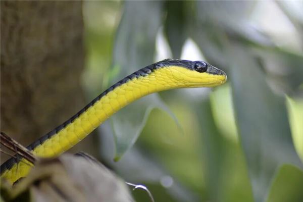 宋密秋的姓名打分結果_宋密秋五行分析