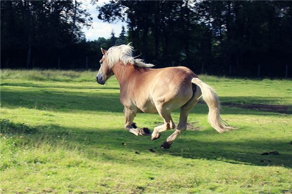 取名技巧_周秀穎
