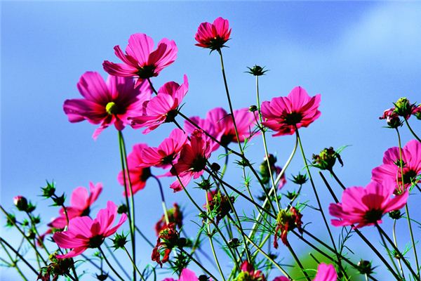 qq炫舞溫情寶寶名字