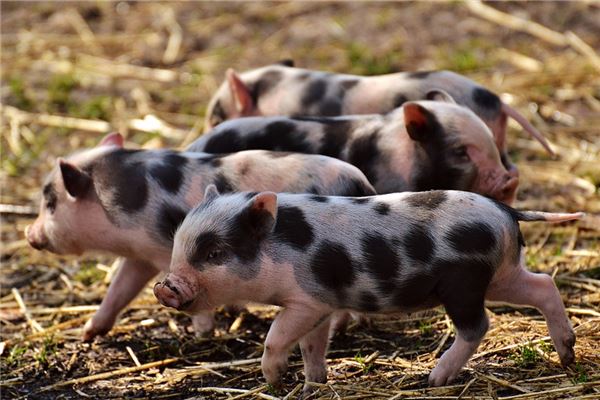 劉亞仁的姓名打分結果_劉亞仁五行分析