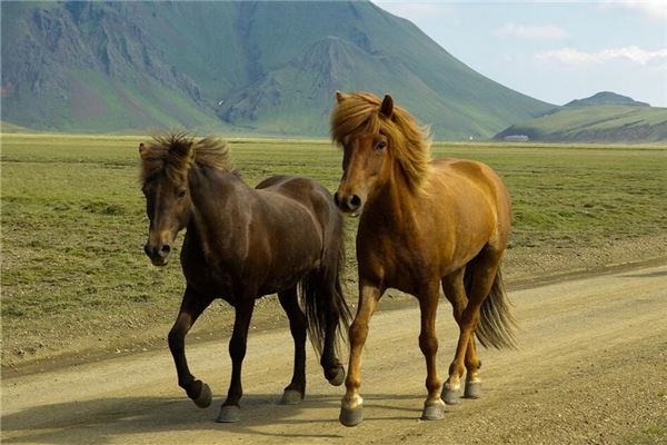 姓名得分測(cè)試_周樂兒