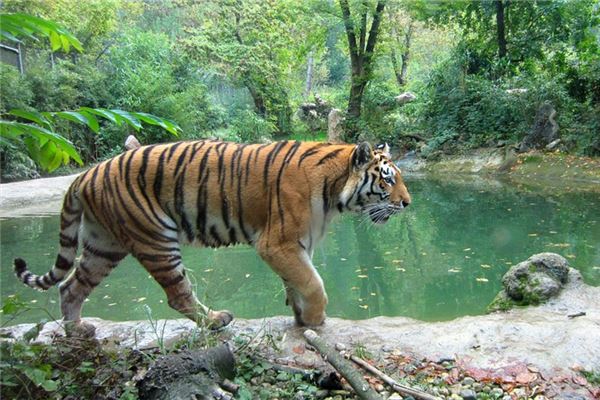 寶寶起名_鄭安順