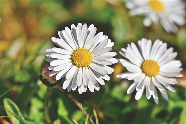 王祥灃的姓名打分結果_王祥灃五行分析