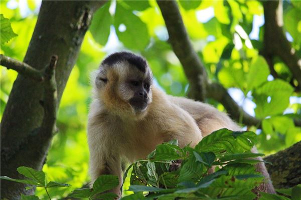 取名方法_女孩好聽的名字