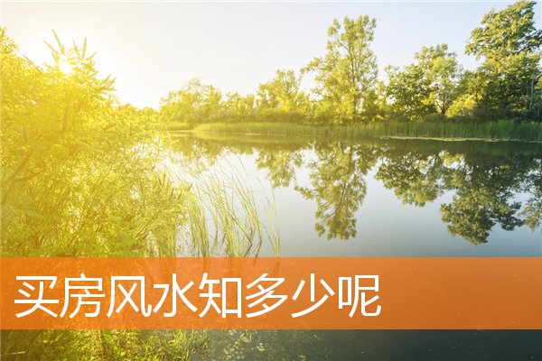 朱一景的姓名打分結(jié)果_朱一景五行分析