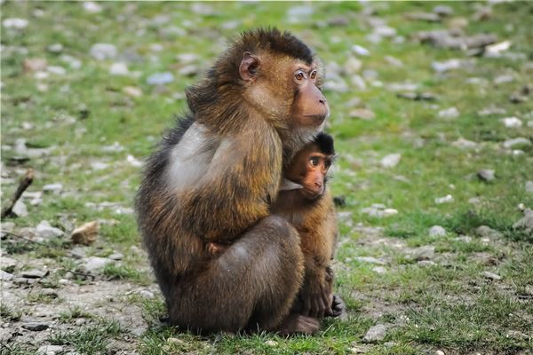 寶寶起名_周正業