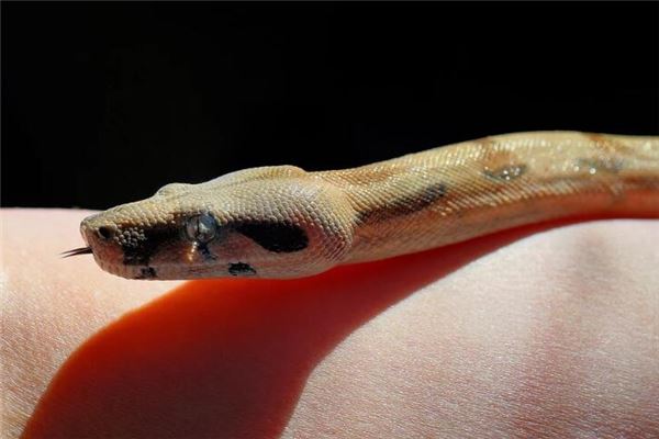 寶寶怎么取名_2021新生兒取名  第1張