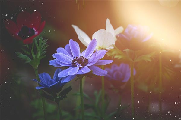 姓名得分測試_周賓實