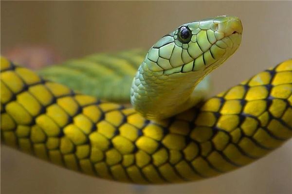 寶寶取名_2021年適合牛寶寶的名字 第1張 寶寶取名_2021年適合牛寶寶的名字 第1張