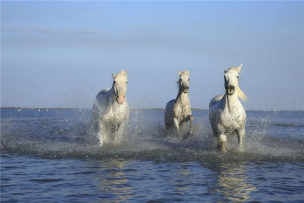 胡恒江的姓名打分結果_胡恒江五行分析